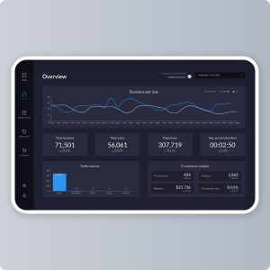 Full screen dashboard - Complete website overview