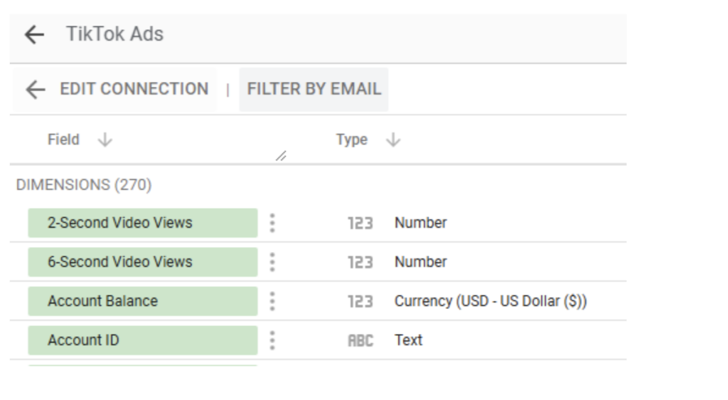 The TikTok data fields on display. 